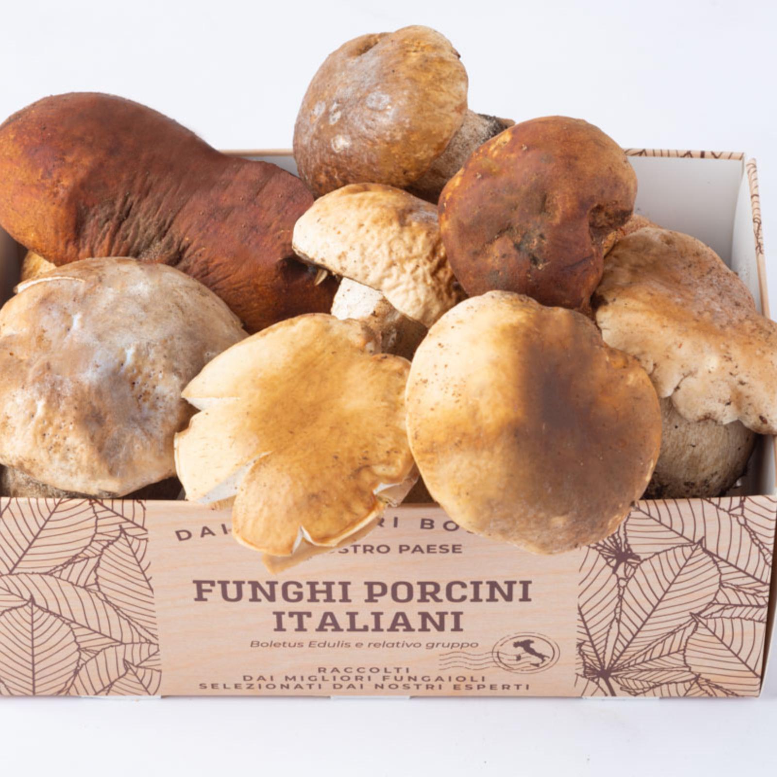 Funghi porcini freschi italiani