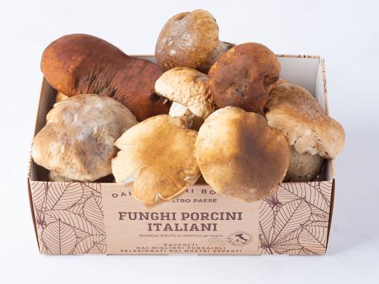Funghi porcini freschi italiani