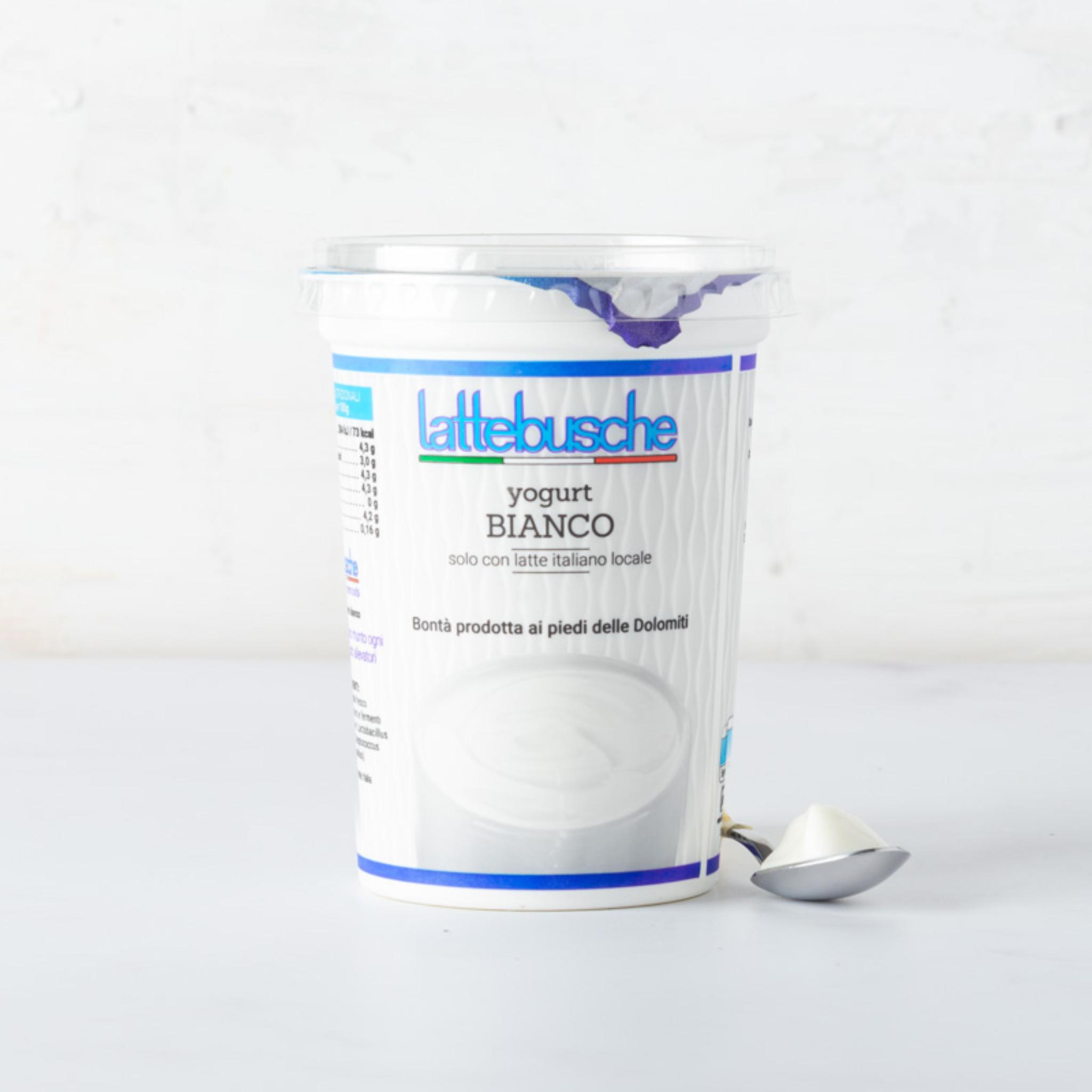 Yogurt intero bianco
