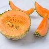 Melone retato