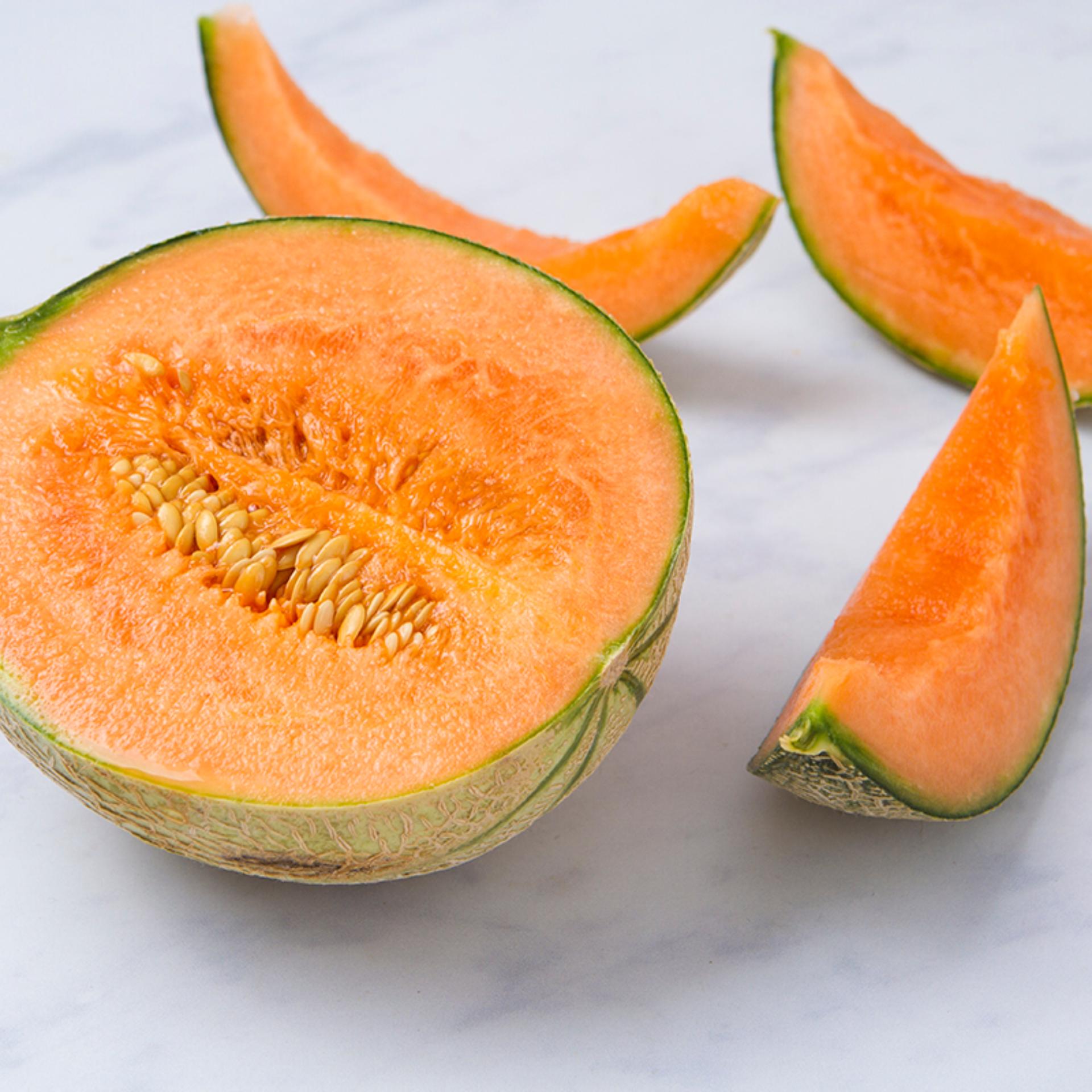 Melone retato