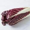 Radicchio lungo rosso