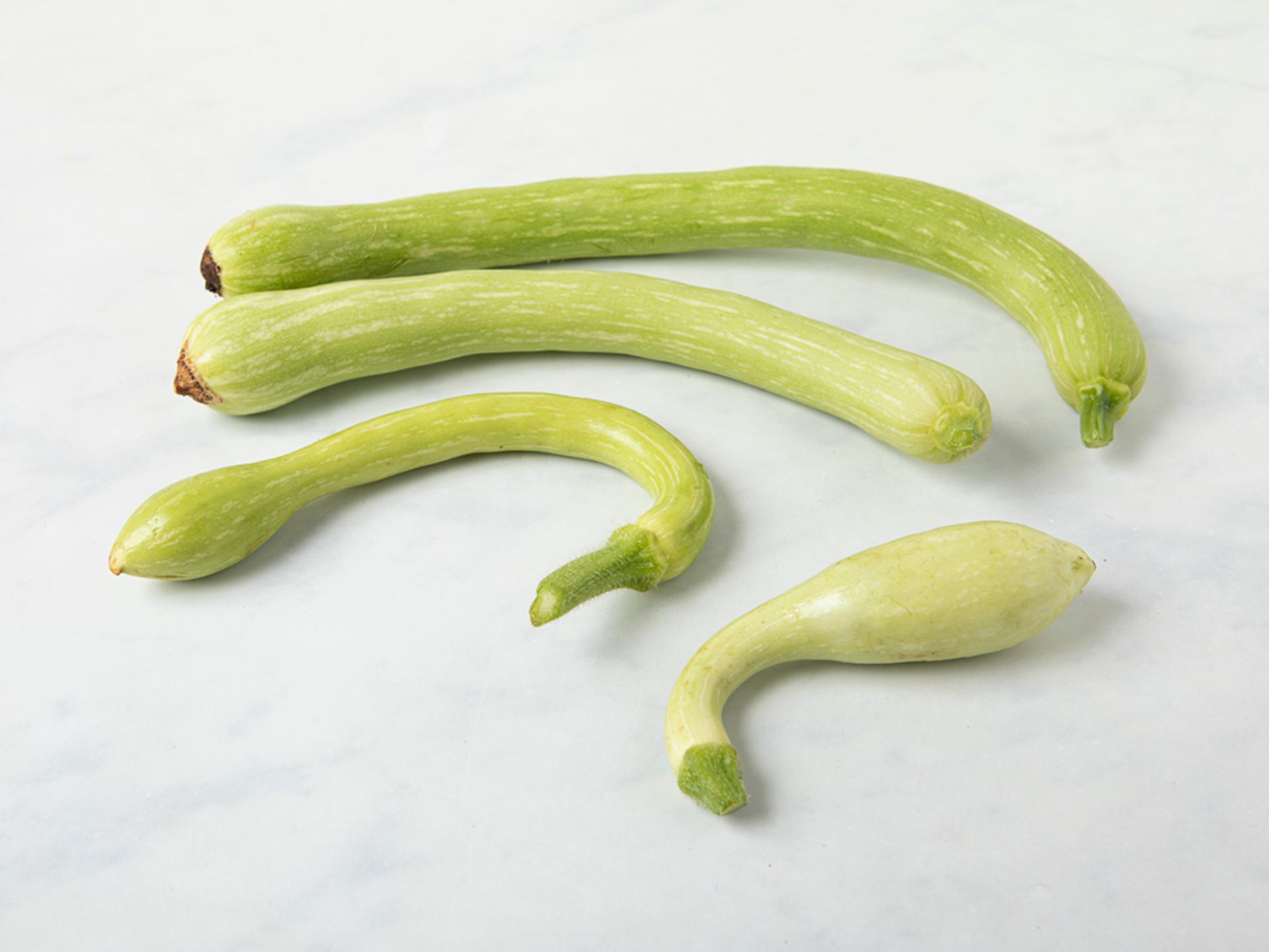 Zucchine trombetta
