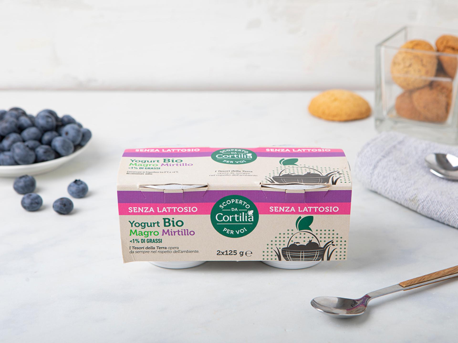 Yogurt magro al mirtillo senza lattosio BIO