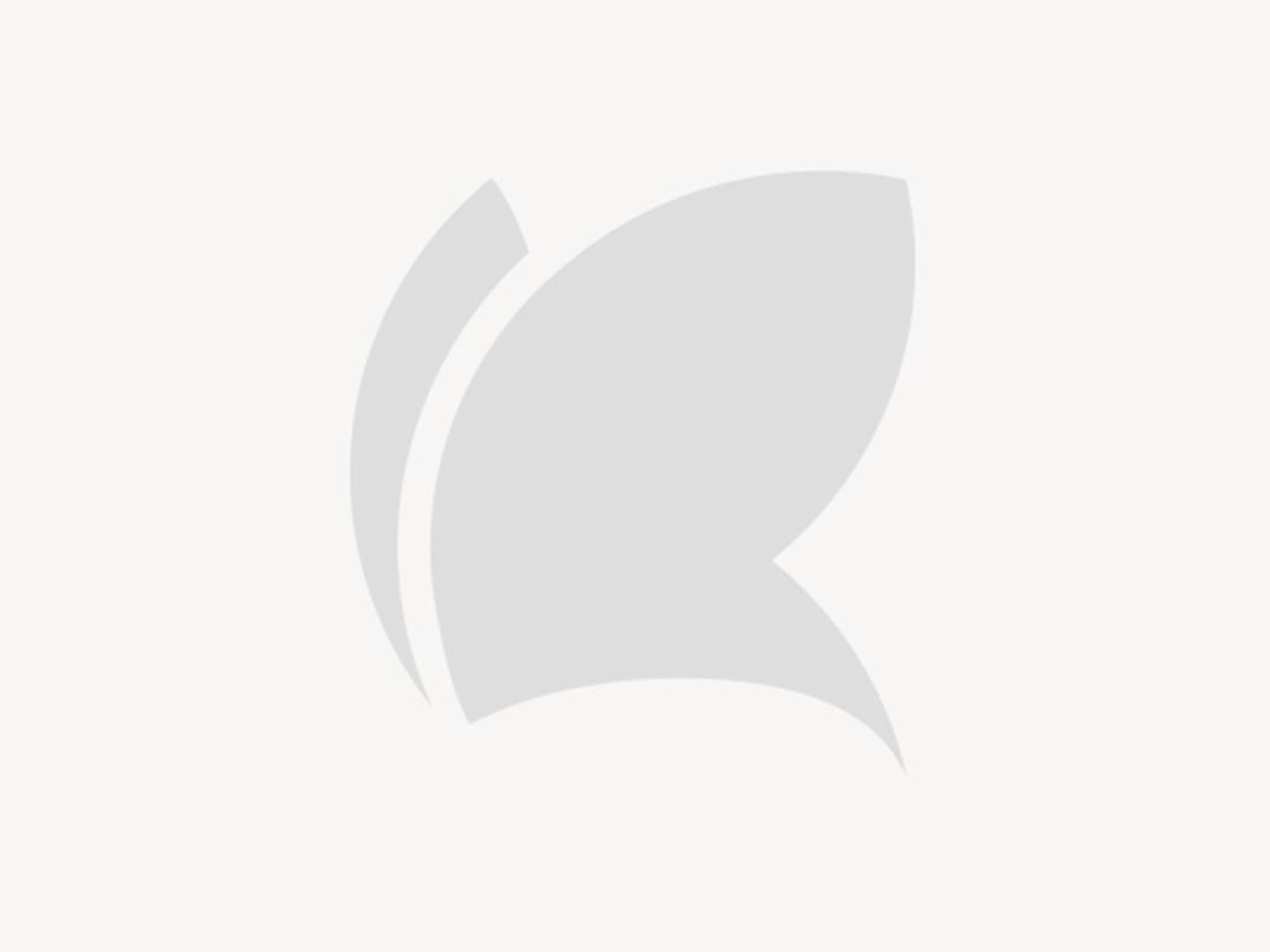 Kombucha al limone di Sorrento IGP