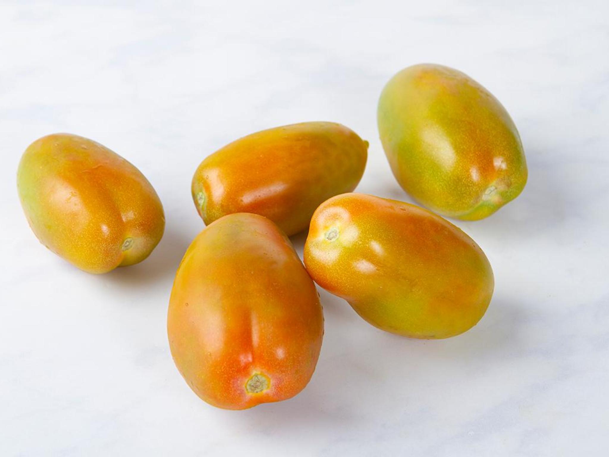 Pomodoro oblungo