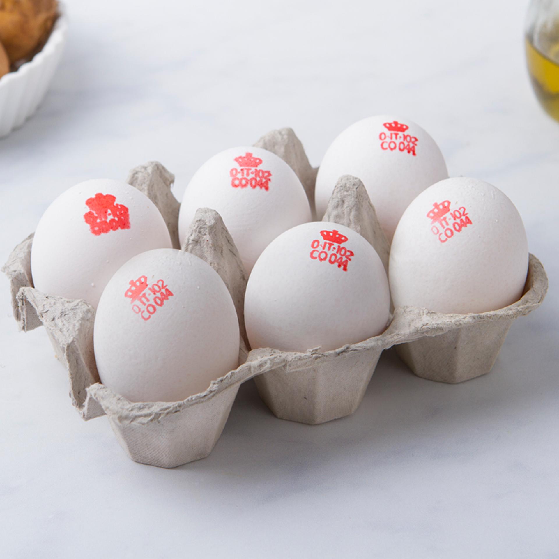 6 Uova bianche BIO da galline al pascolo estensivo