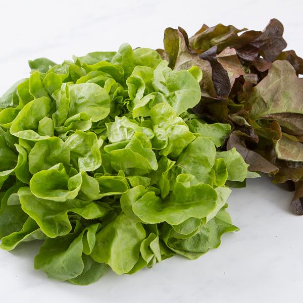 Cascina Pizzo Insalata lollo | 300 g