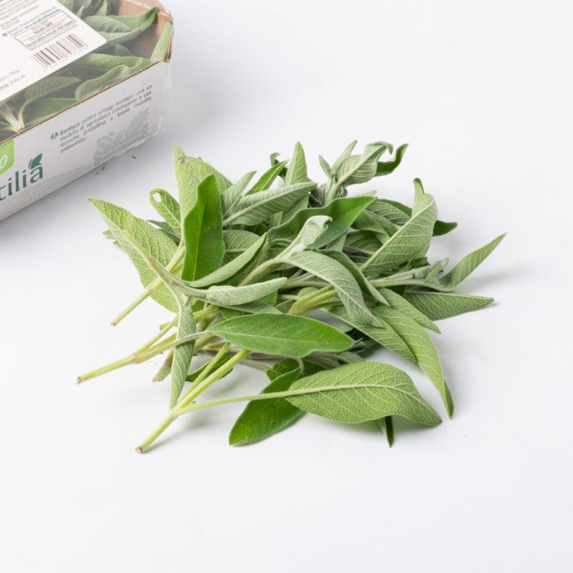 Salvia fresca BIO