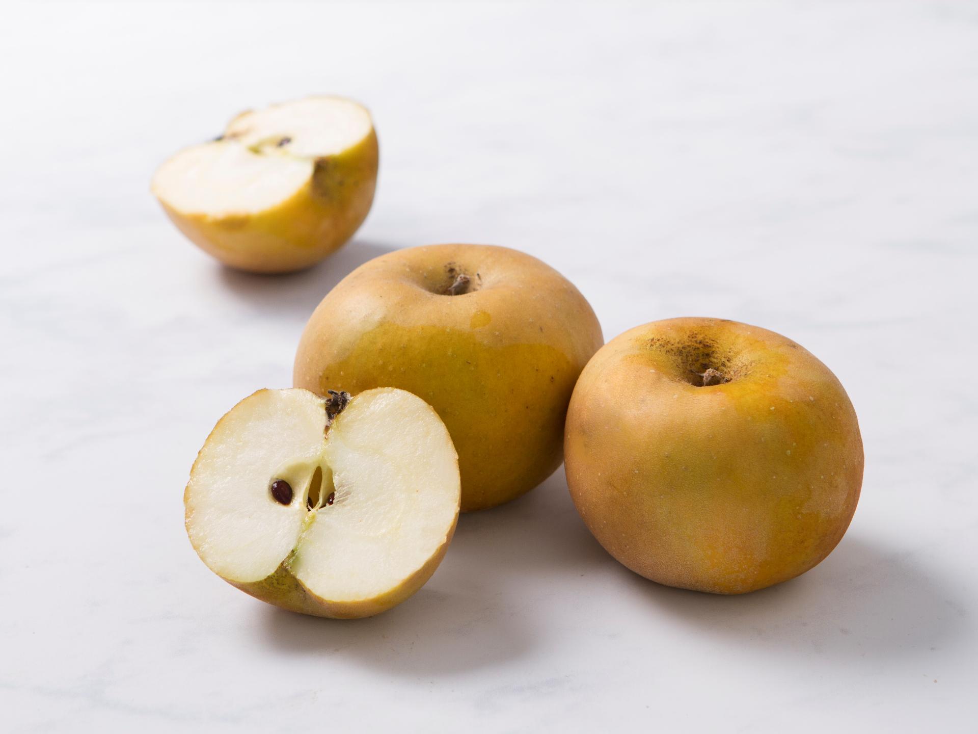 Mele grigie di Torriana