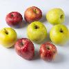 Mix di mele di Valtellina IGP BIO