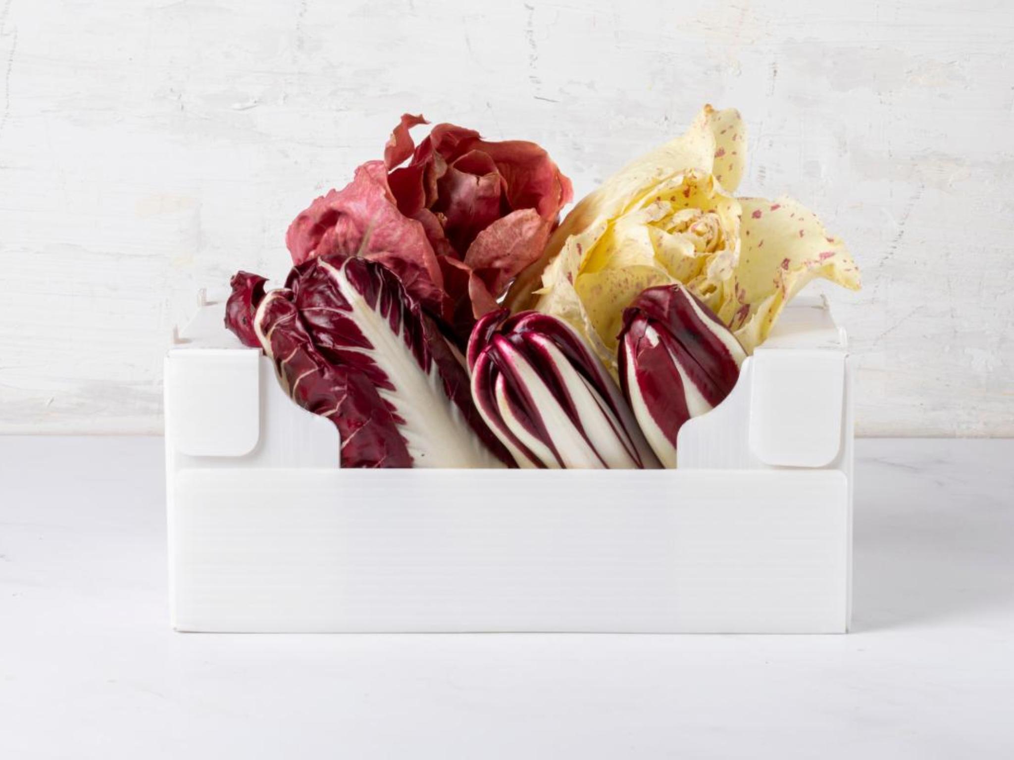 Gran mix di radicchio