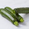 Zucchine verdi BIO