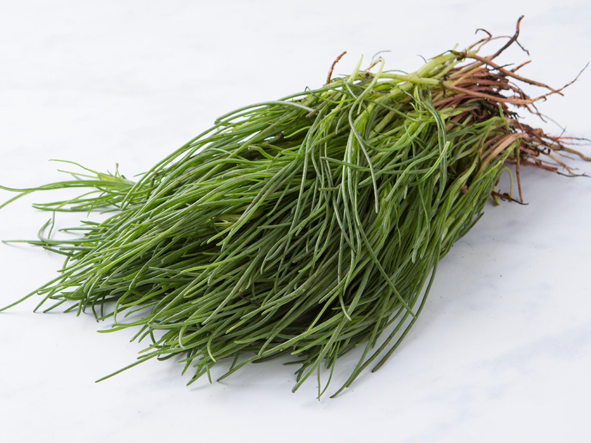 Agretti di Romagna