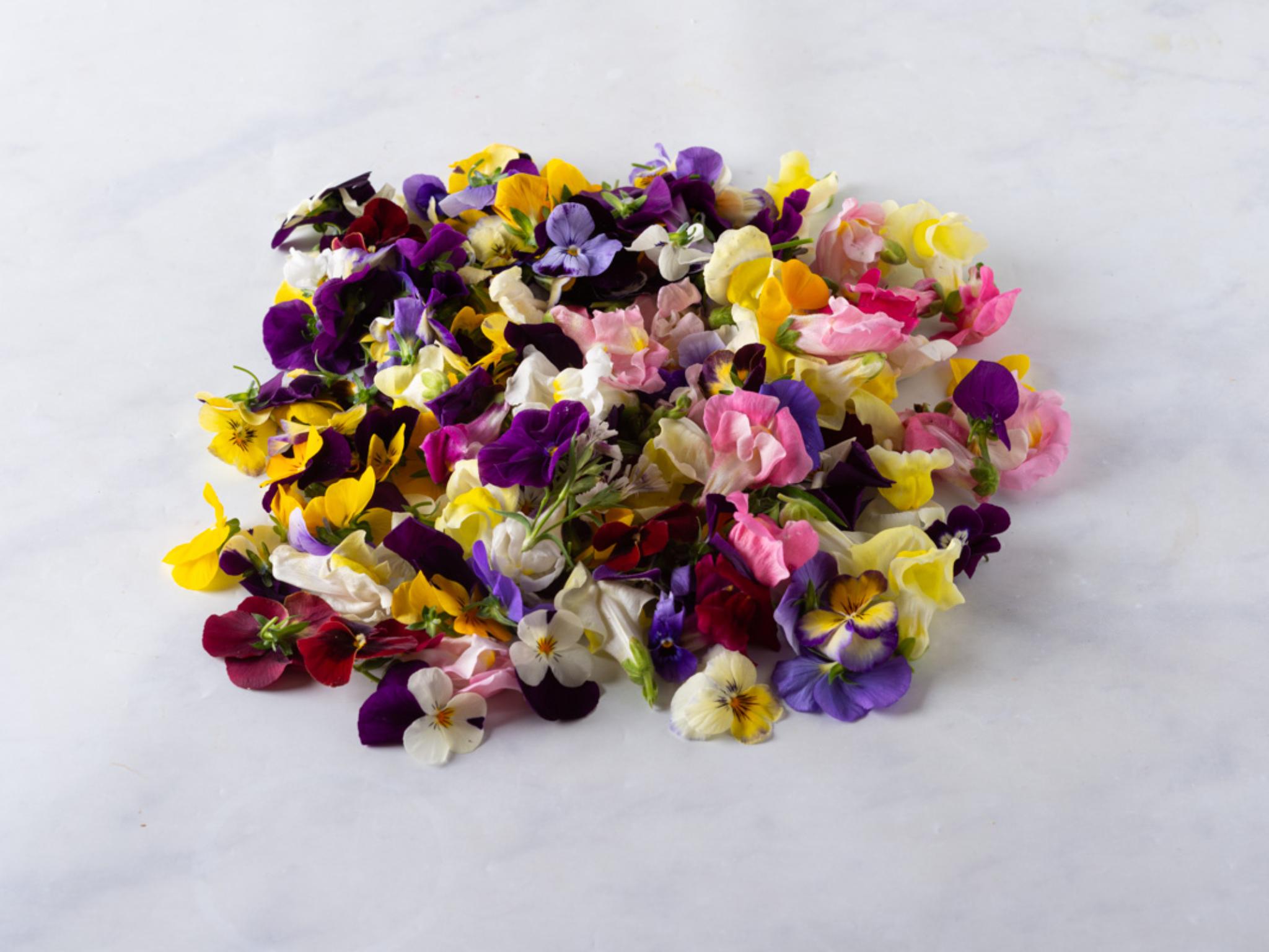 Fiori eduli BIO