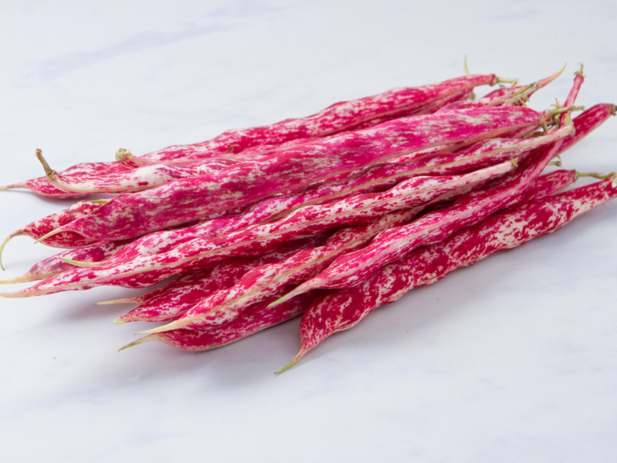 Fagioli borlotti BIO