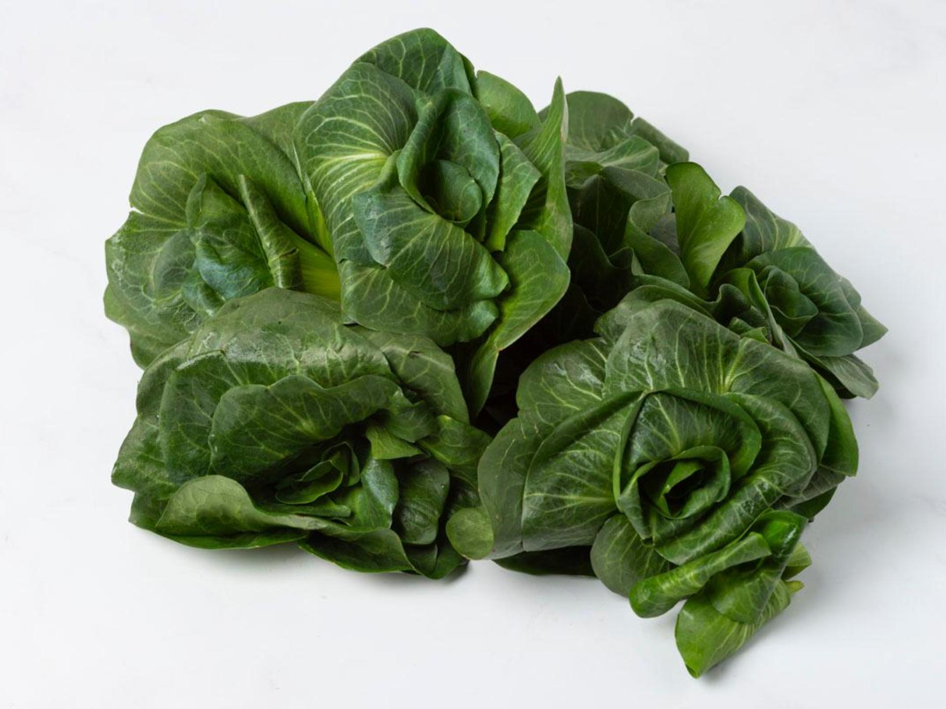 Cicorino grumulo verde