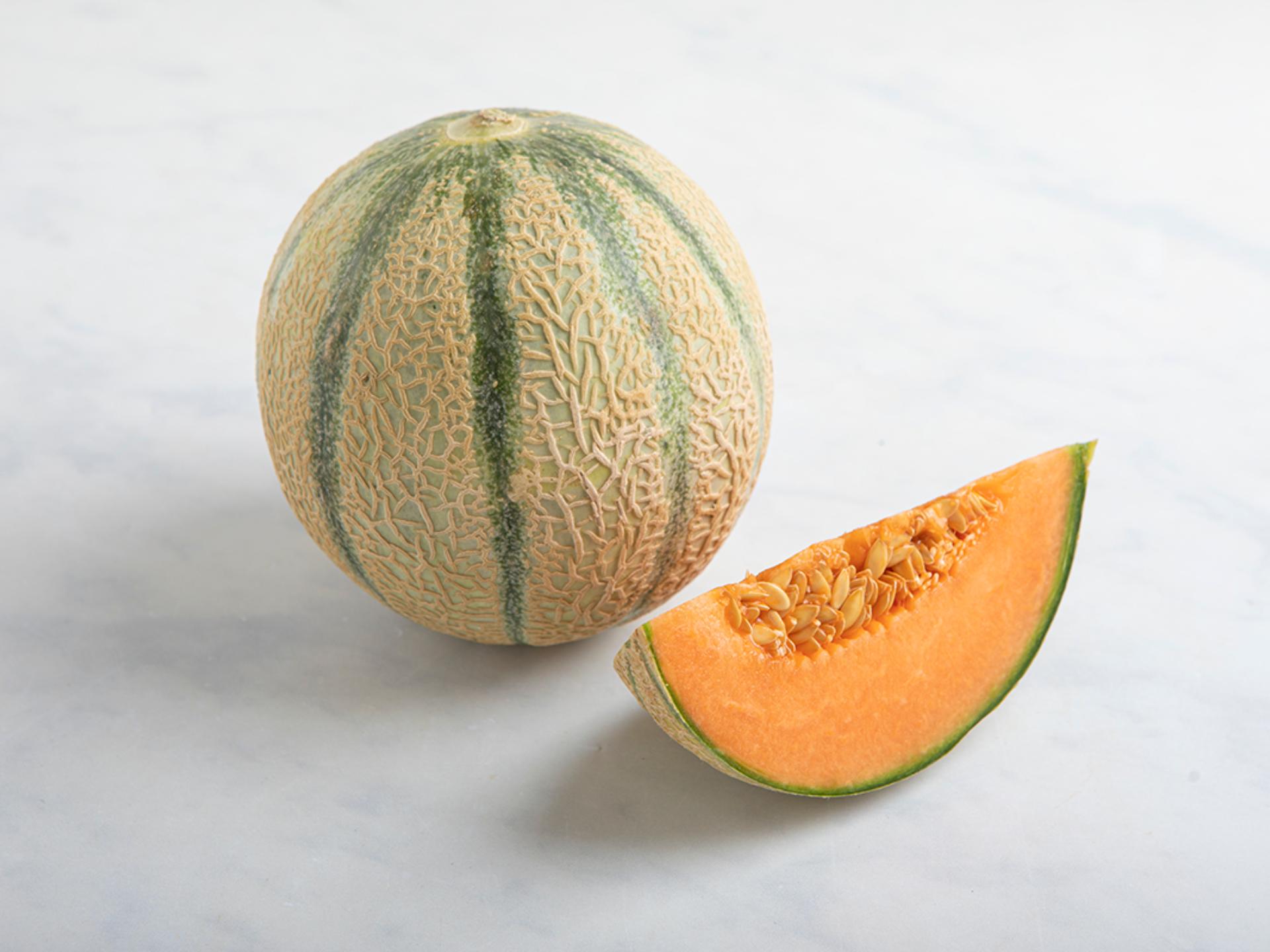 Melone retato