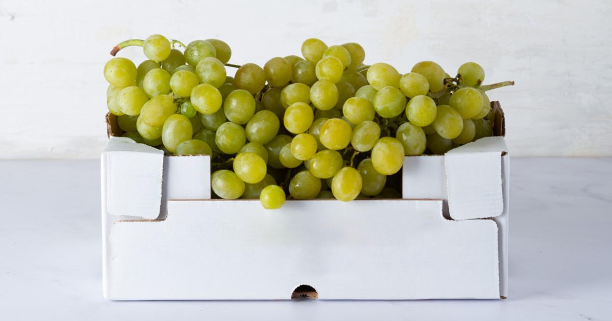 Rizoma Di Uva Dolce Senza Semi - Resistente, Facile Da Coltivare, Per Giardino O Vaso | Goditi Uva Fresca E Dolce - Foto 12