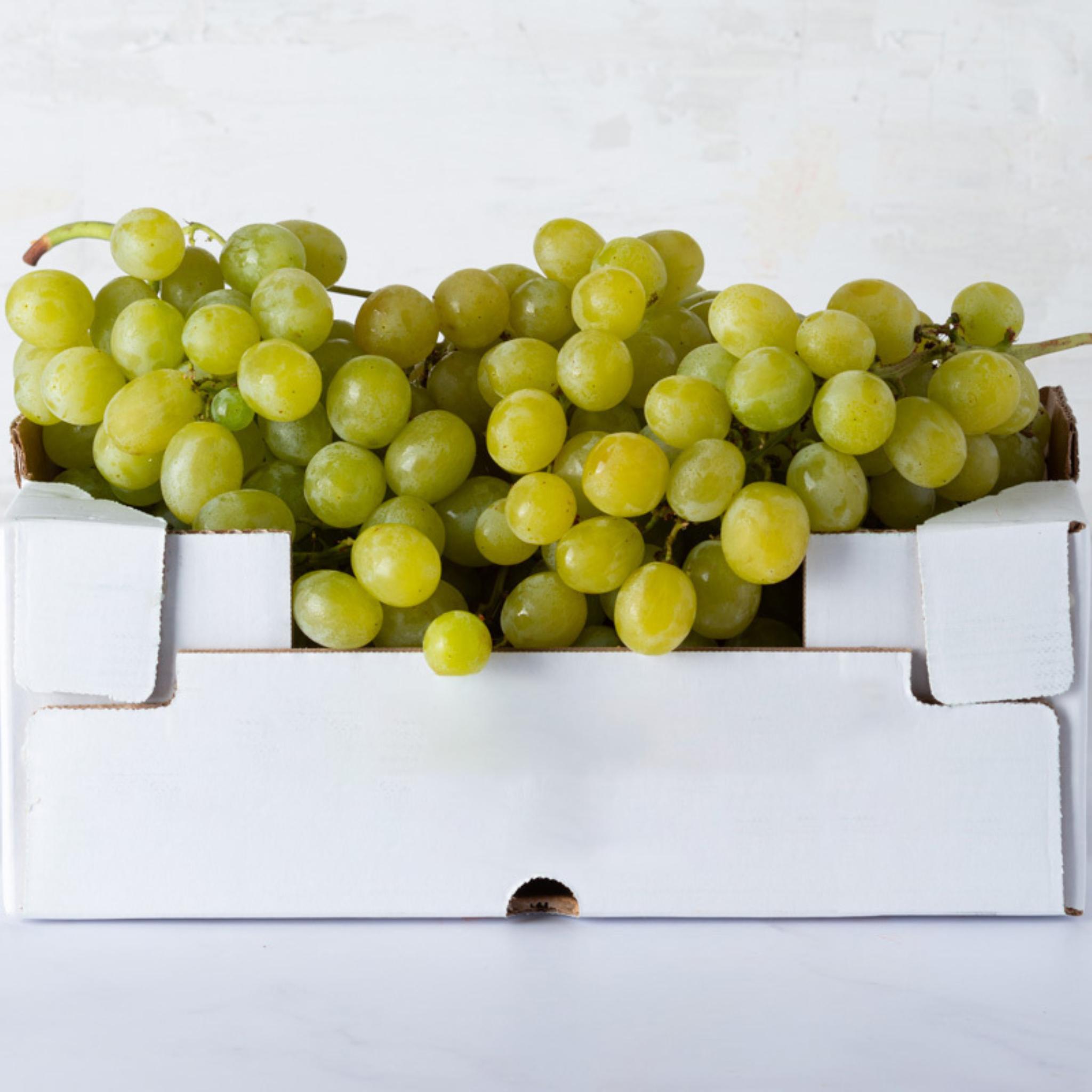 100 Semi Uva Shine-Muscat - Per Coltivazione Domestica, Dolce E Produttiva, Ideale Per Giardino