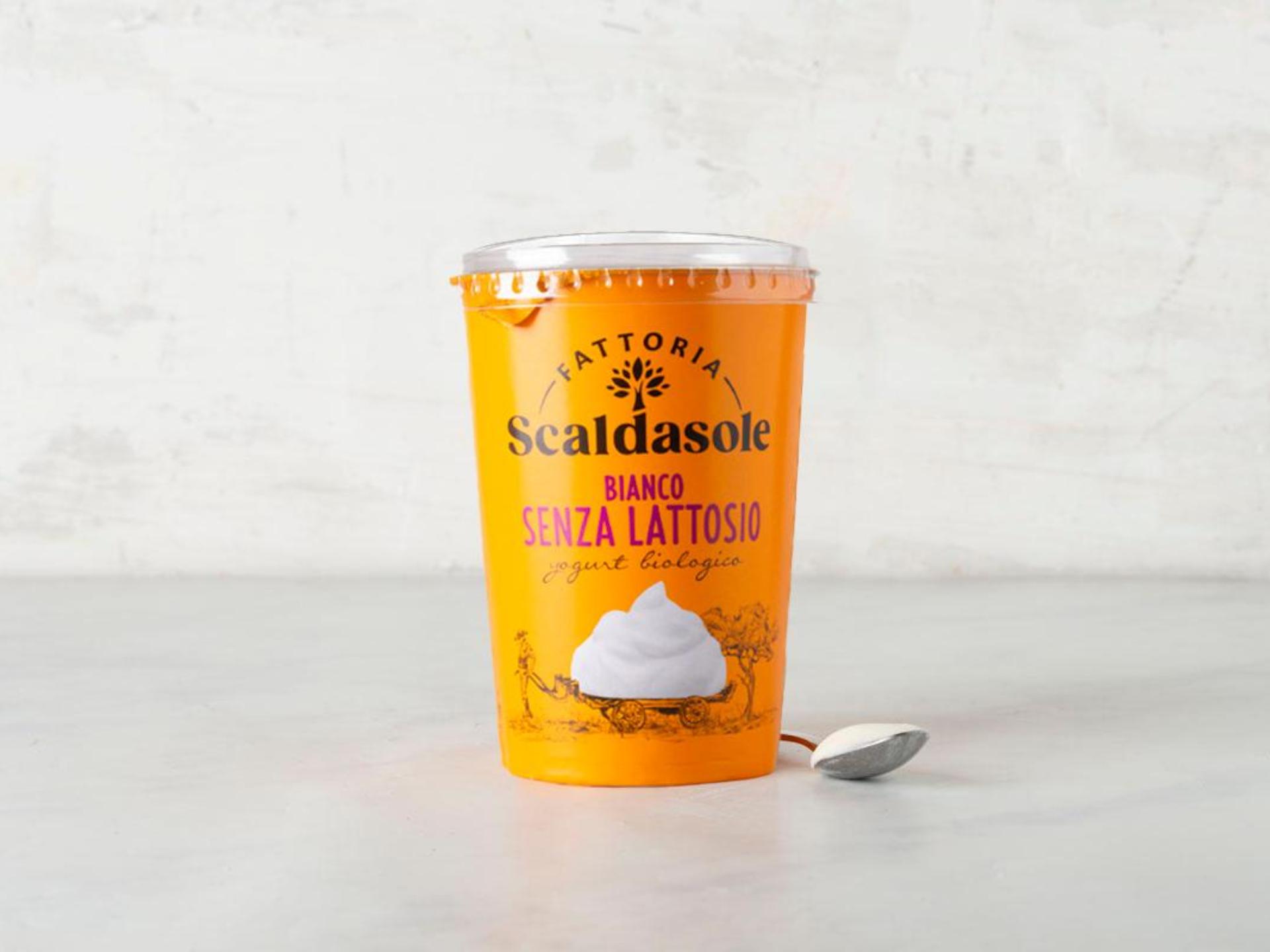 Yogurt bianco magro senza lattosio BIO