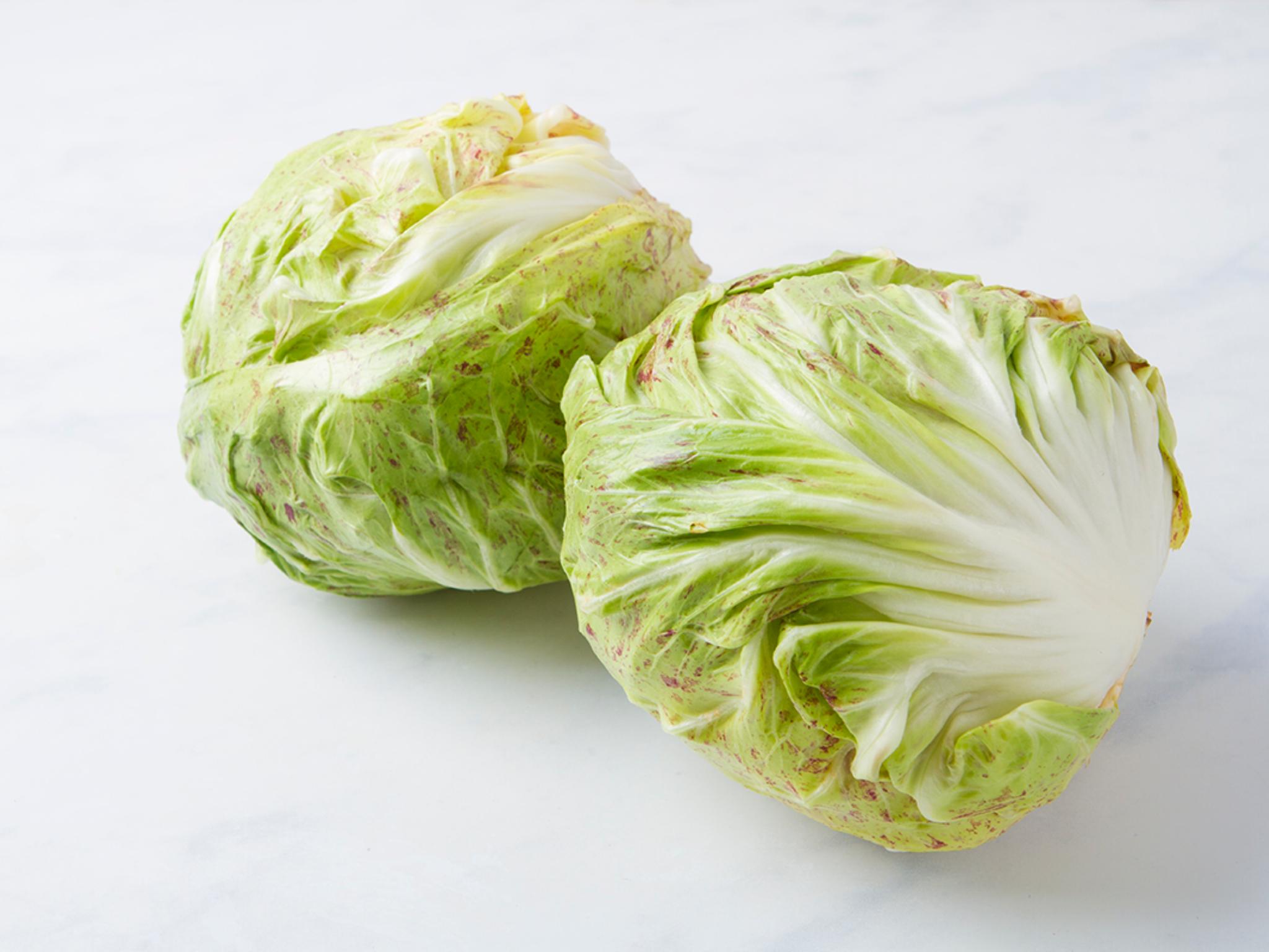 Radicchio variegato del Veneto BIO