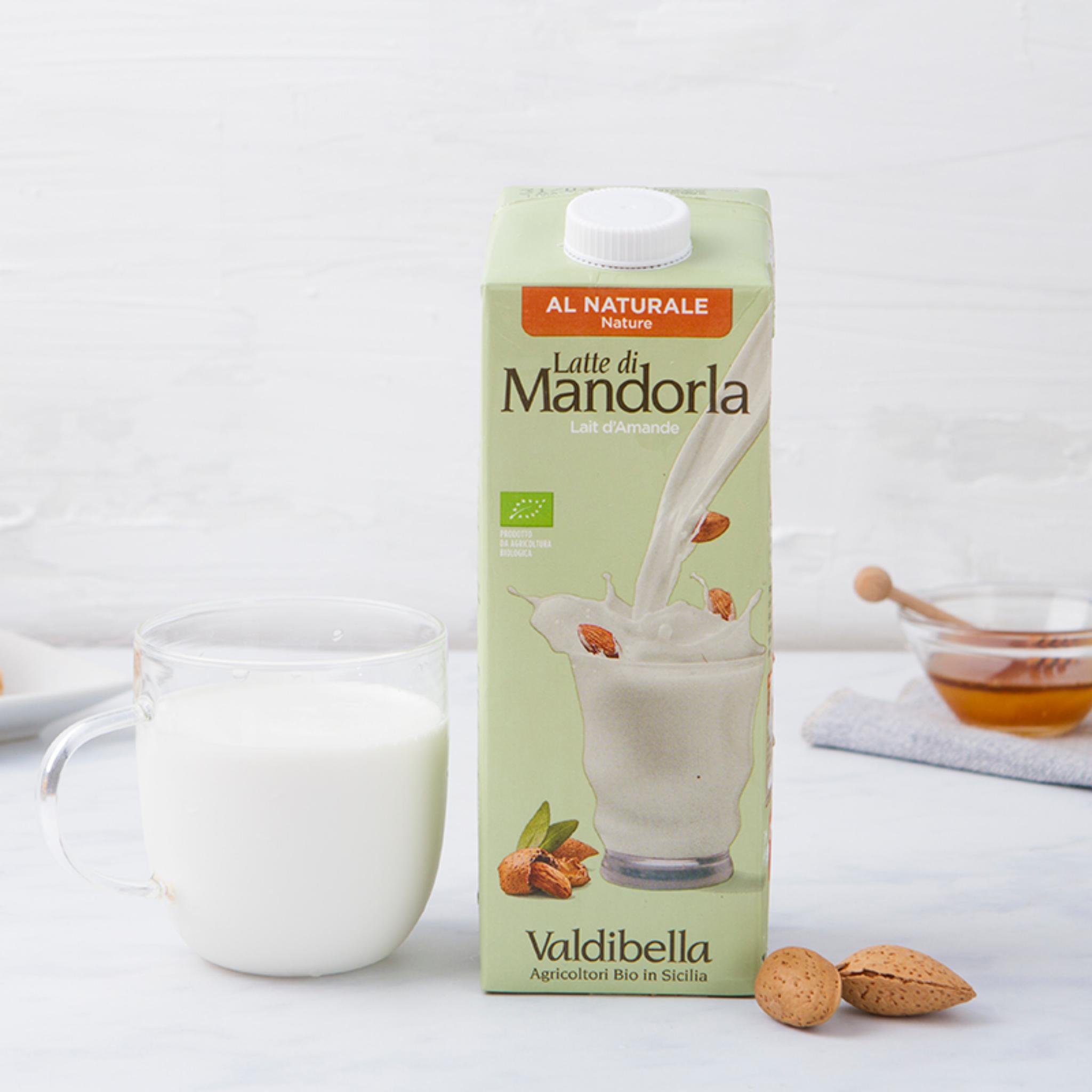 Mila Di Springlane - Macchina Automatica Per Latte Vegetale Fatto In Casa - Foto 5