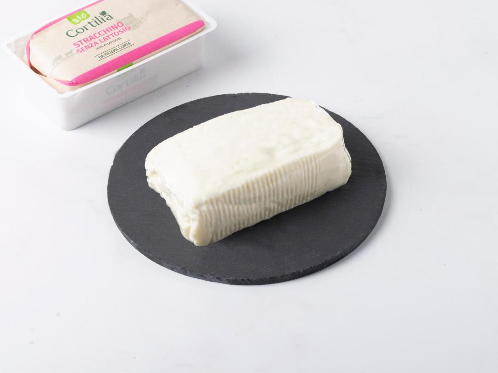 Stracchino senza lattosio BIO