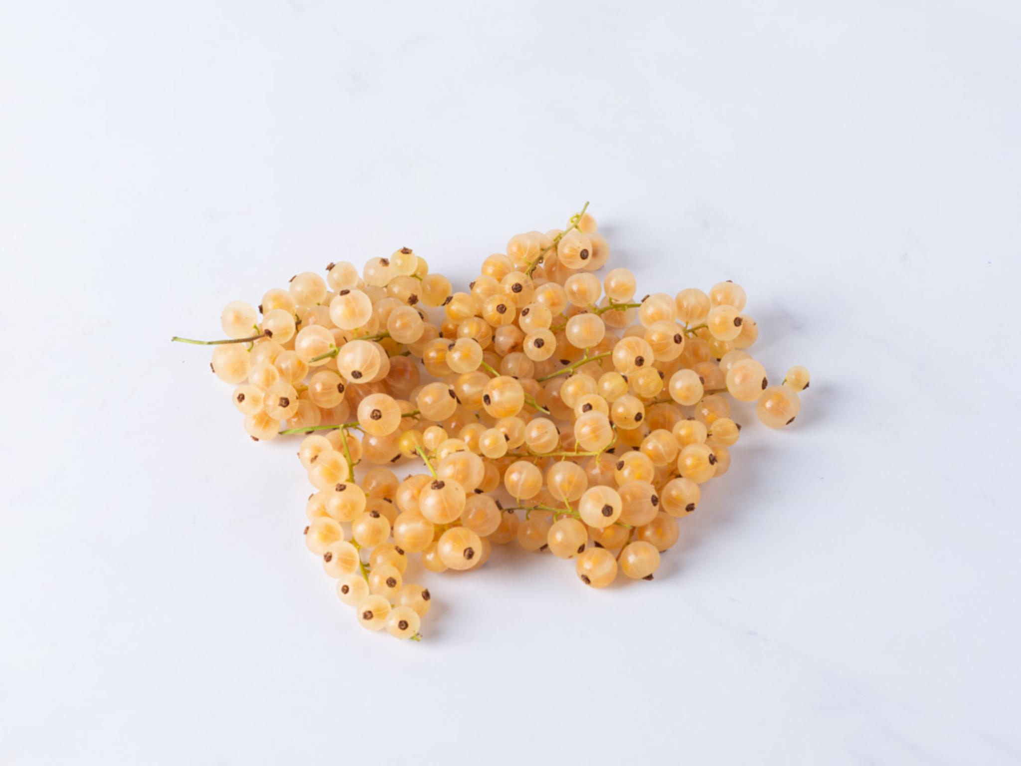 Ribes bianco
