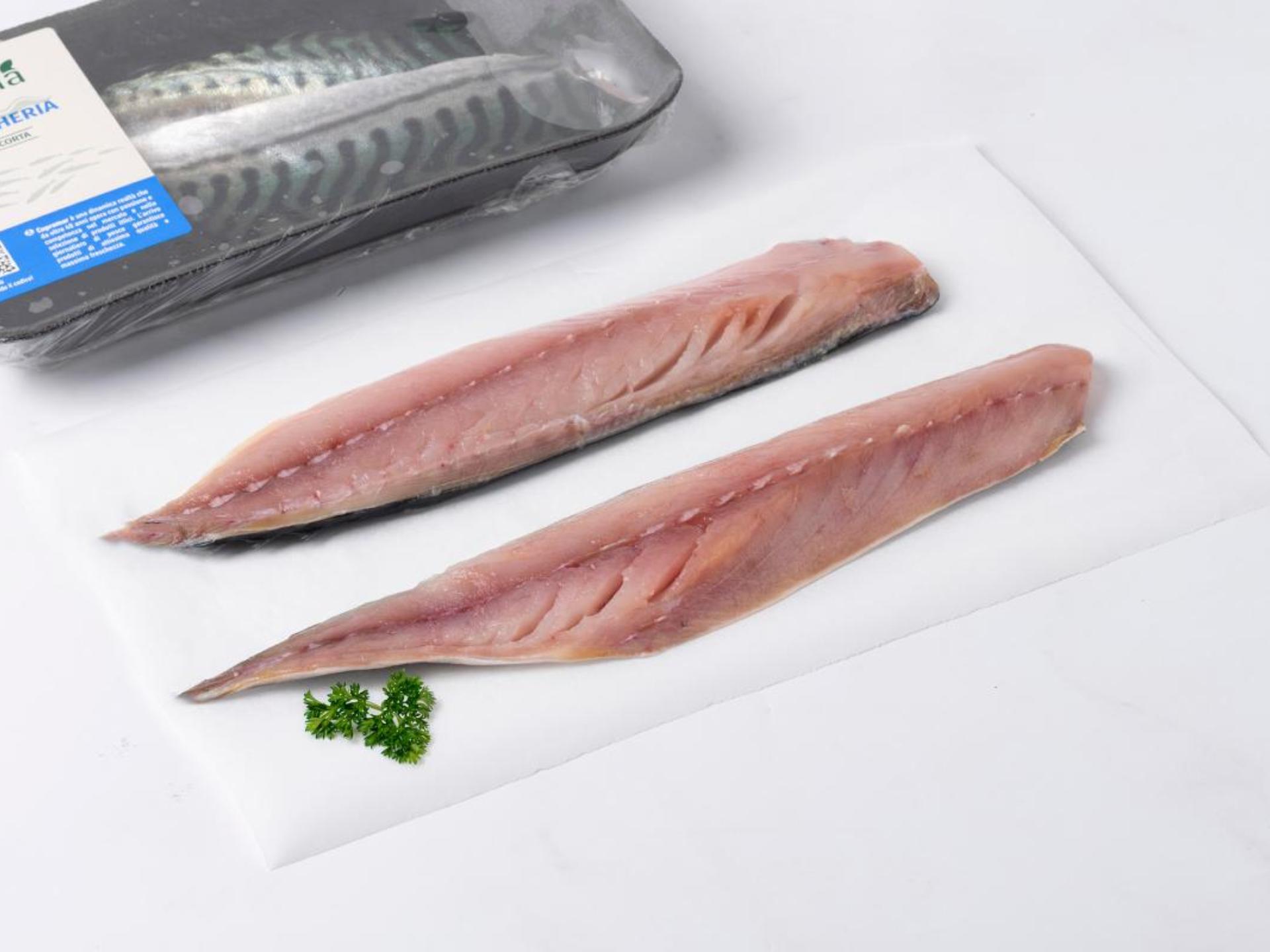 Filetti di sgombro freschi