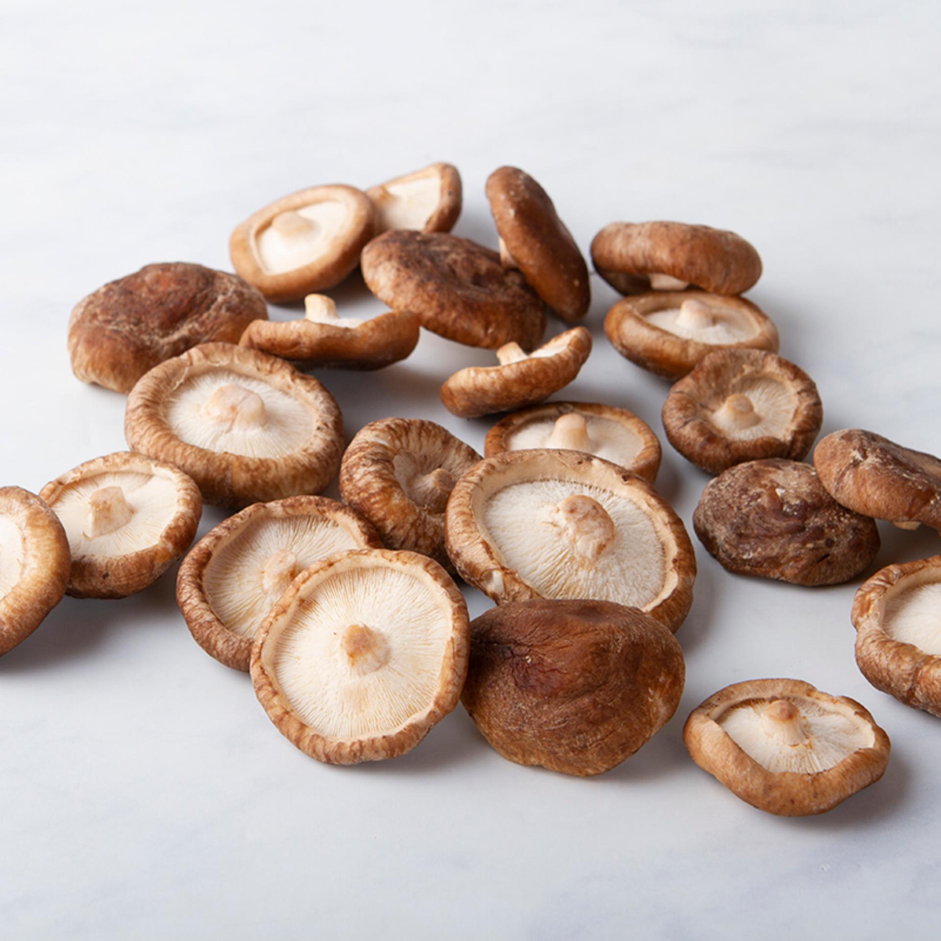 Funghi shiitake BIO del Südtirol