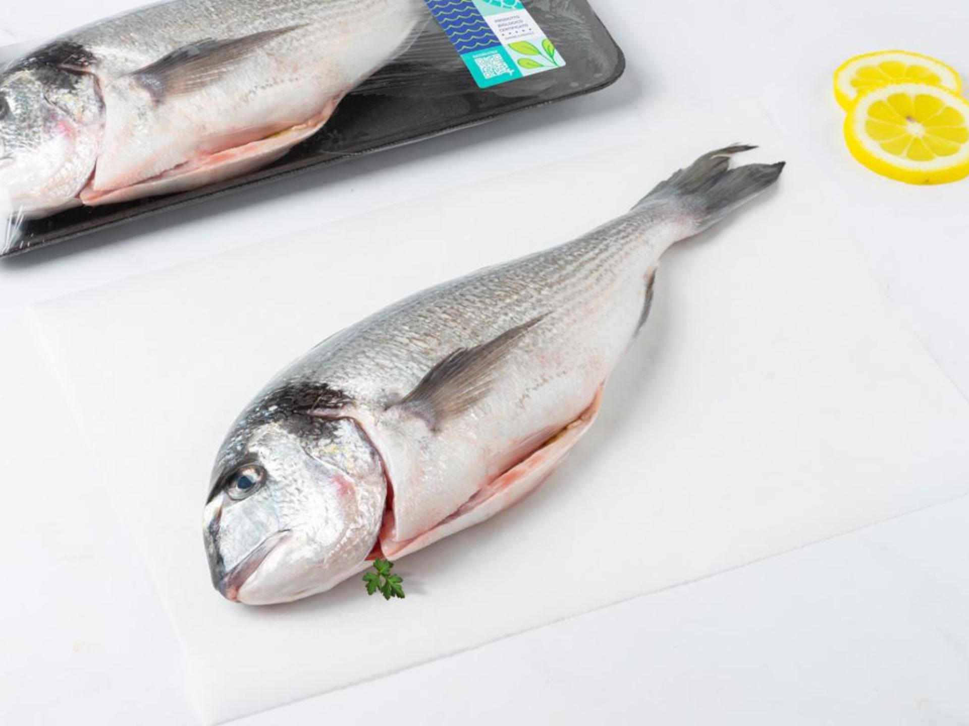 Orata BIO eviscerata taglia grande