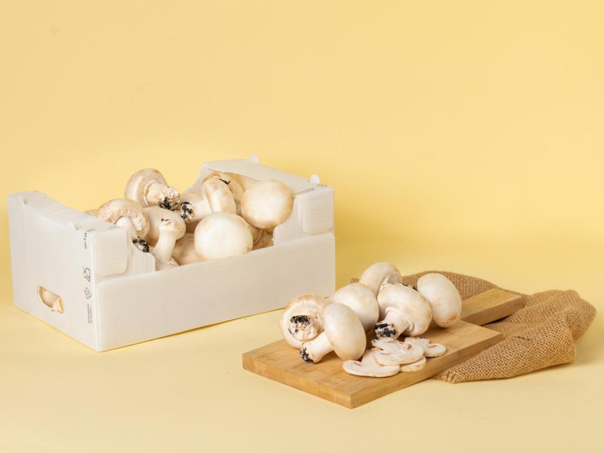 Bauletto di funghi Champignon