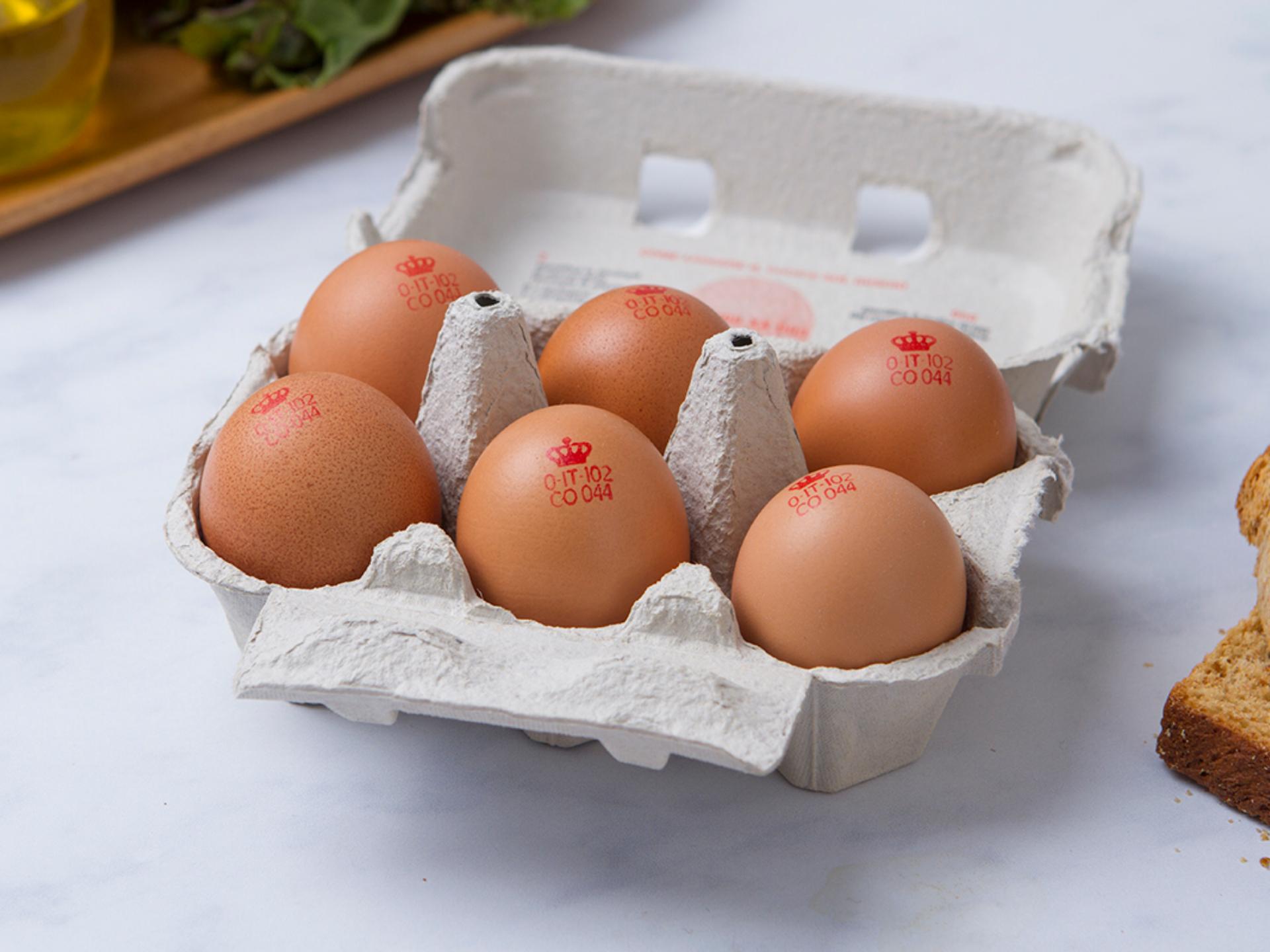 6 Uova rosa BIO da galline al pascolo estensivo