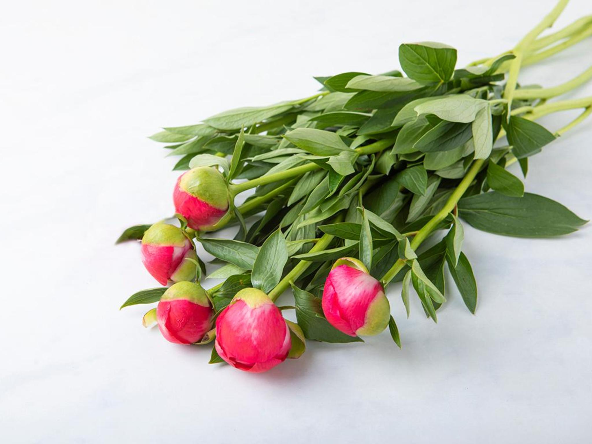 Bouquet di peonie
