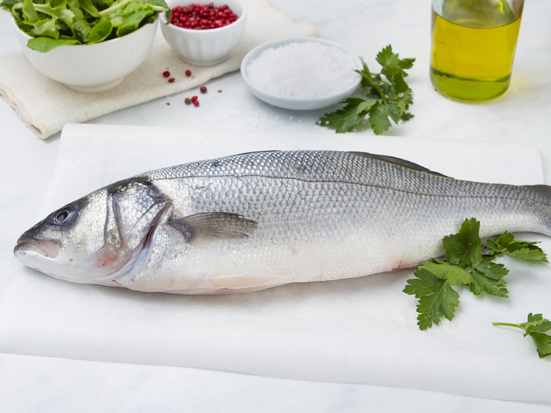 Branzino italiano fresco taglia grande