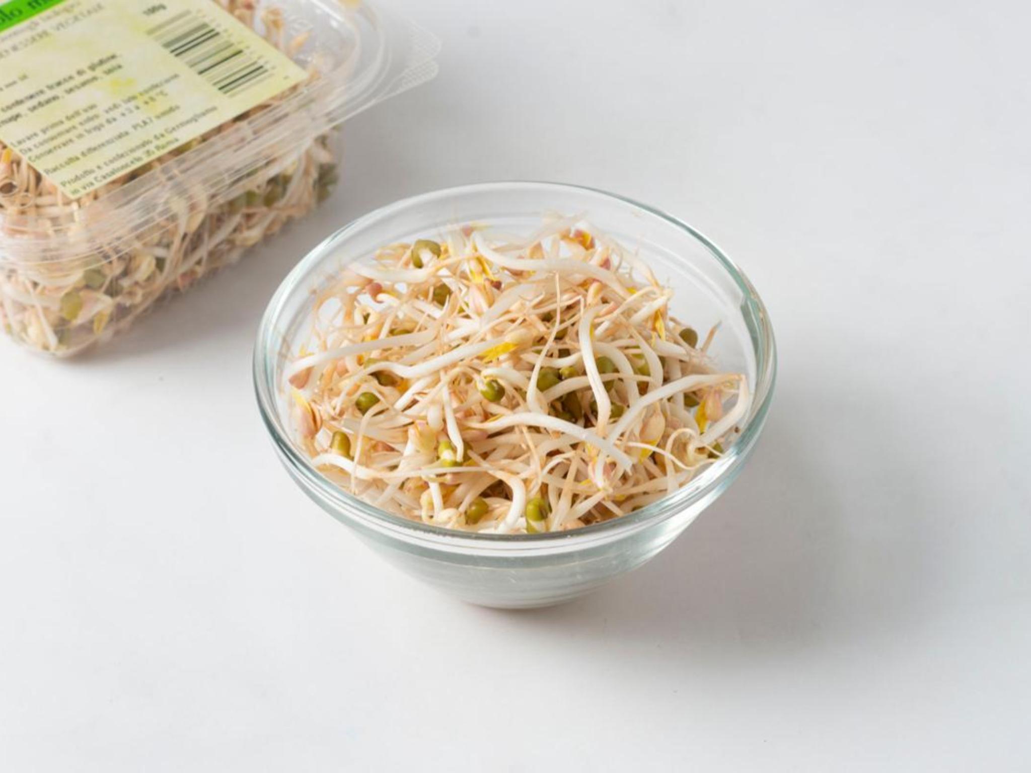 Germogli Di Ravanello Viola Microgreen Nella Tua Mano | Foto Premium - Foto 9