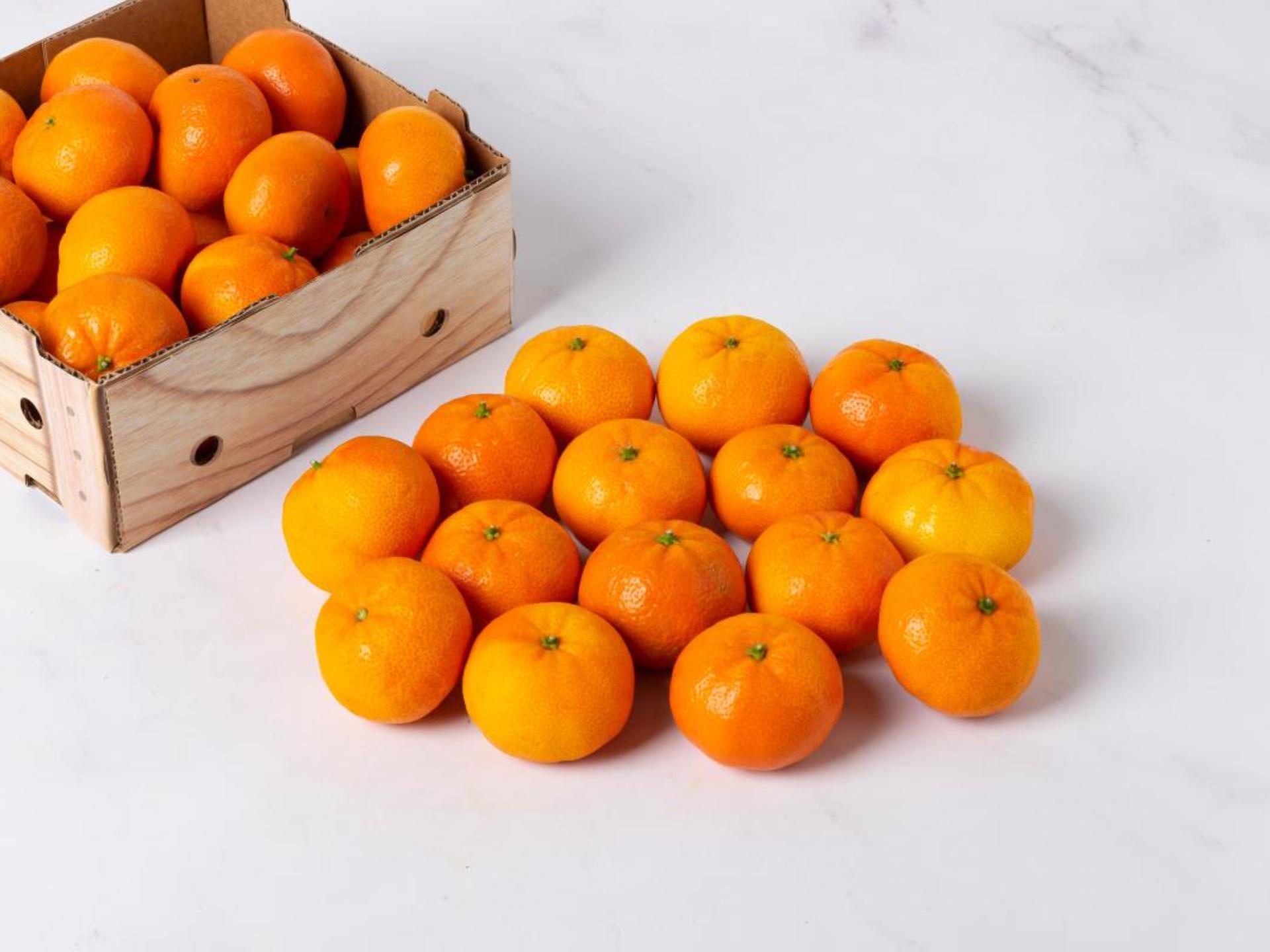 Mandarini Tang Gold - calibro piccolo