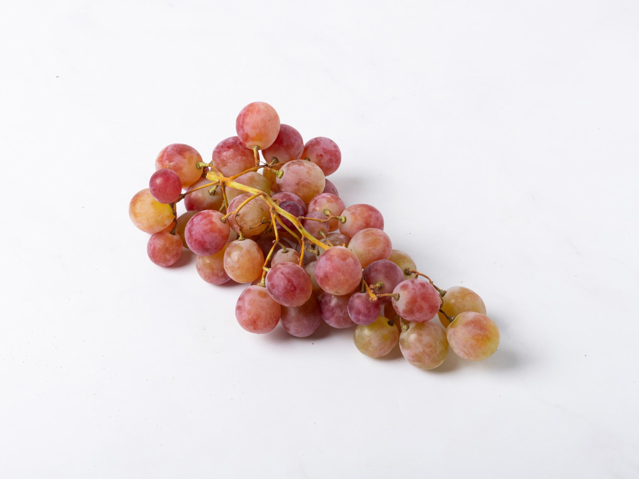Uva rossa Red Globe