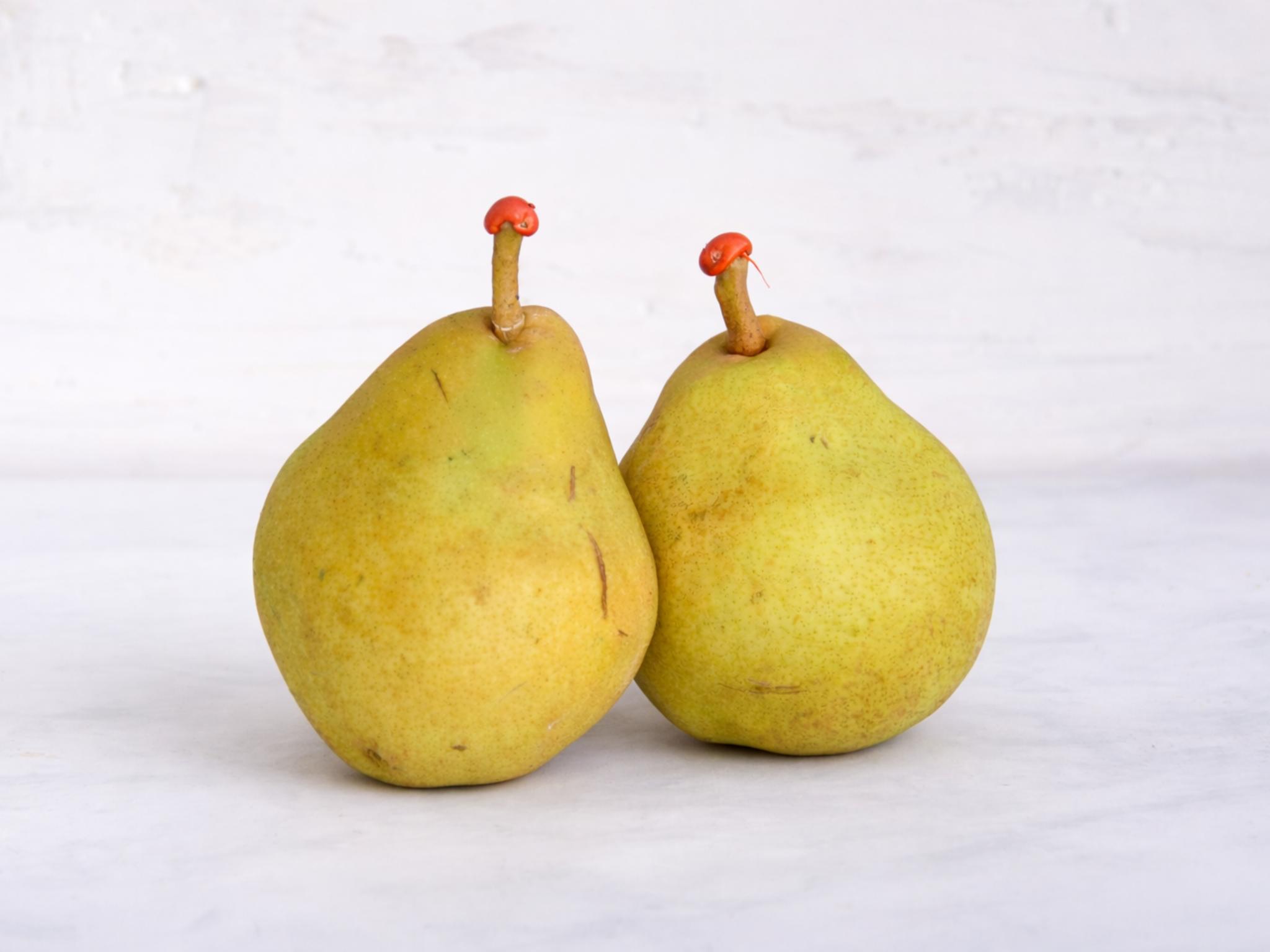 Pere decana con ceralacca