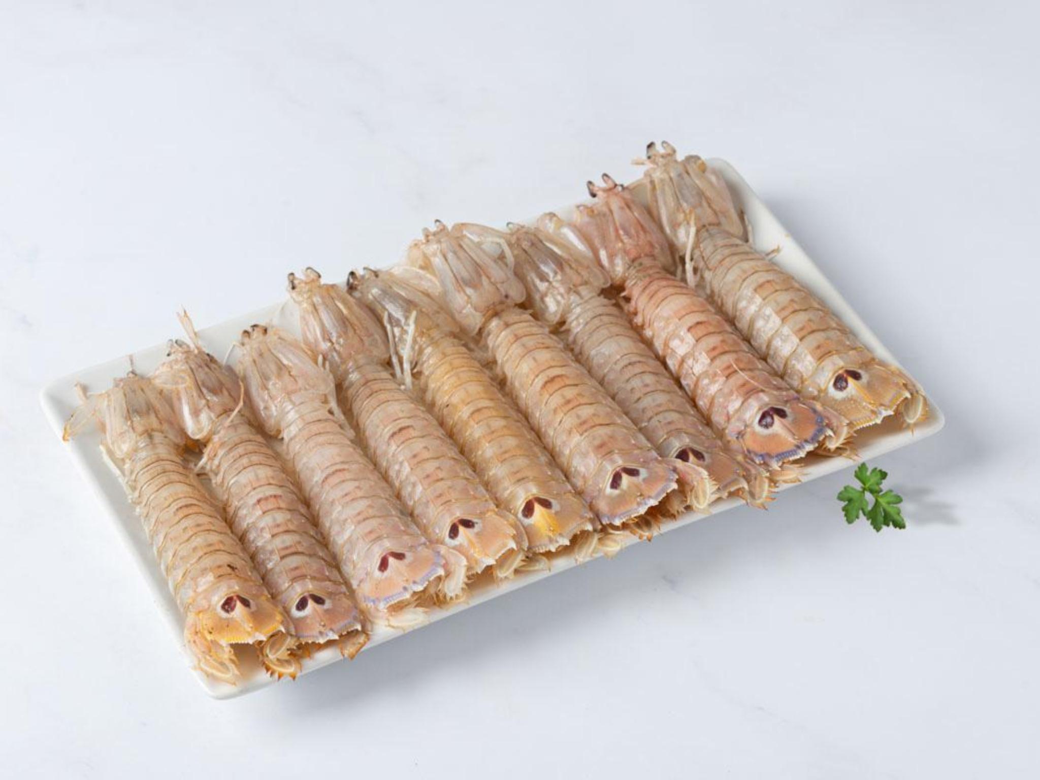 Canocchie fresche del Mediterraneo