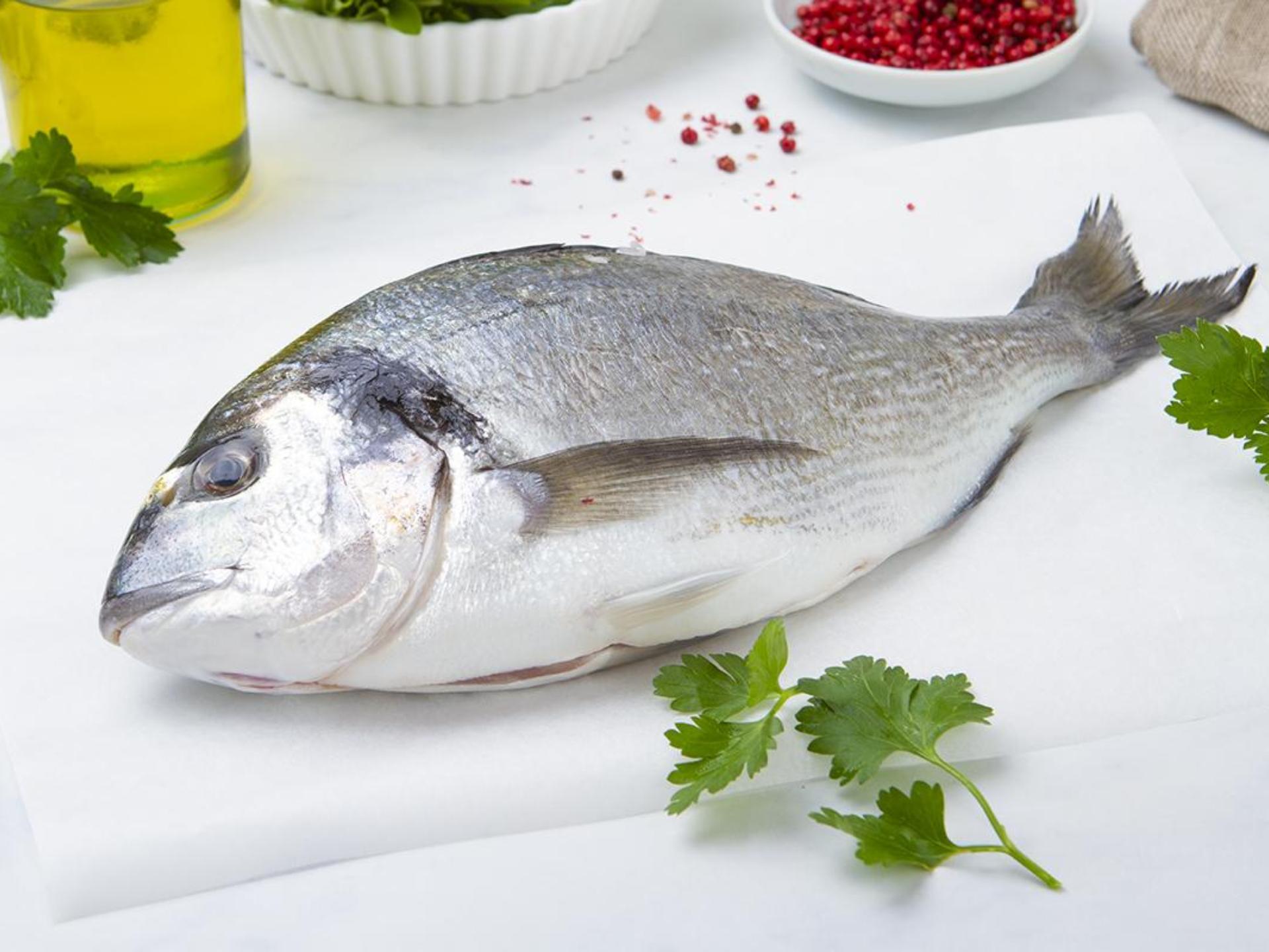 Orata del Salento BIO