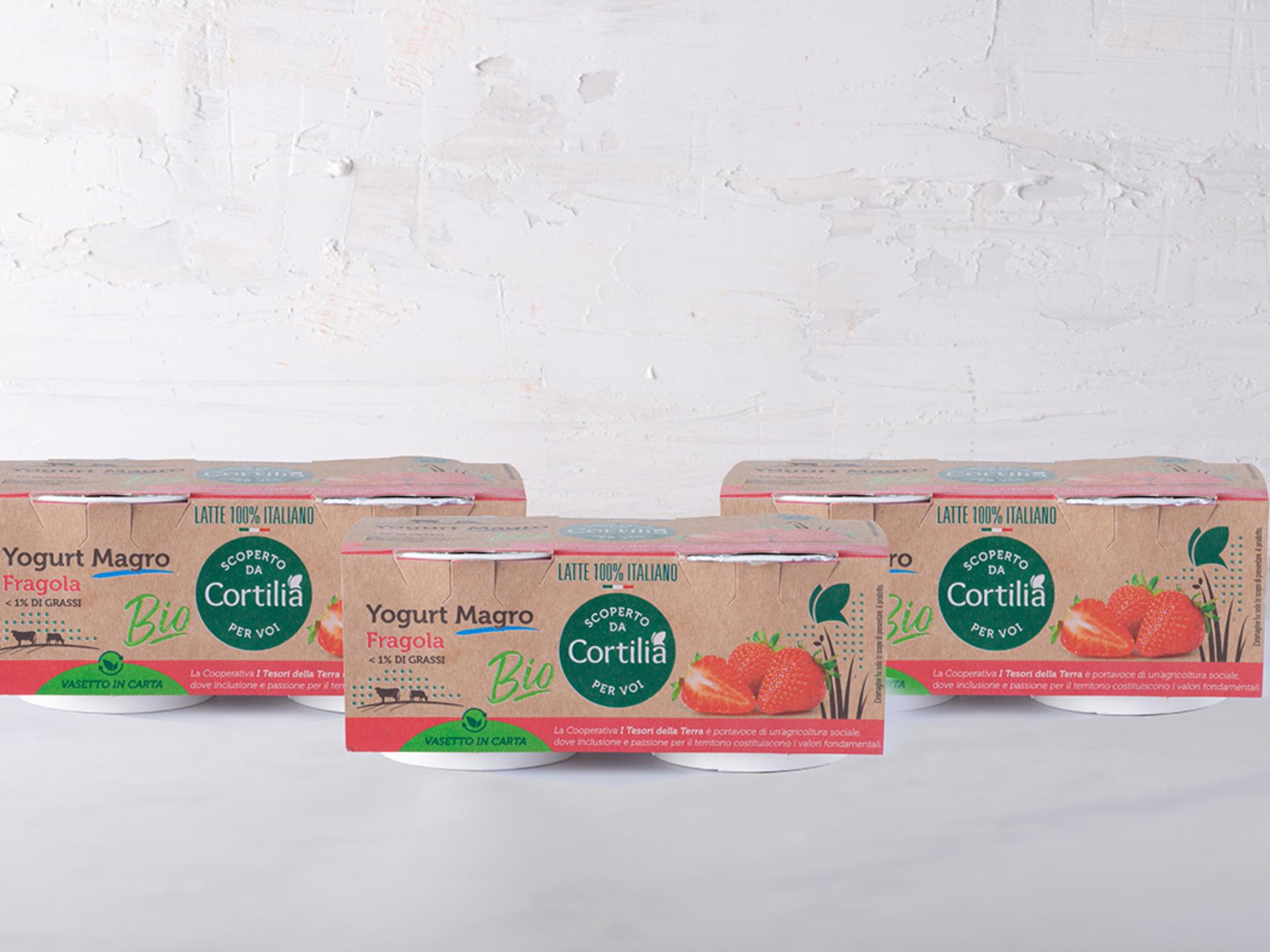 6 Yogurt magro alla fragola BIO