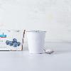 Yogurt intero al mirtillo