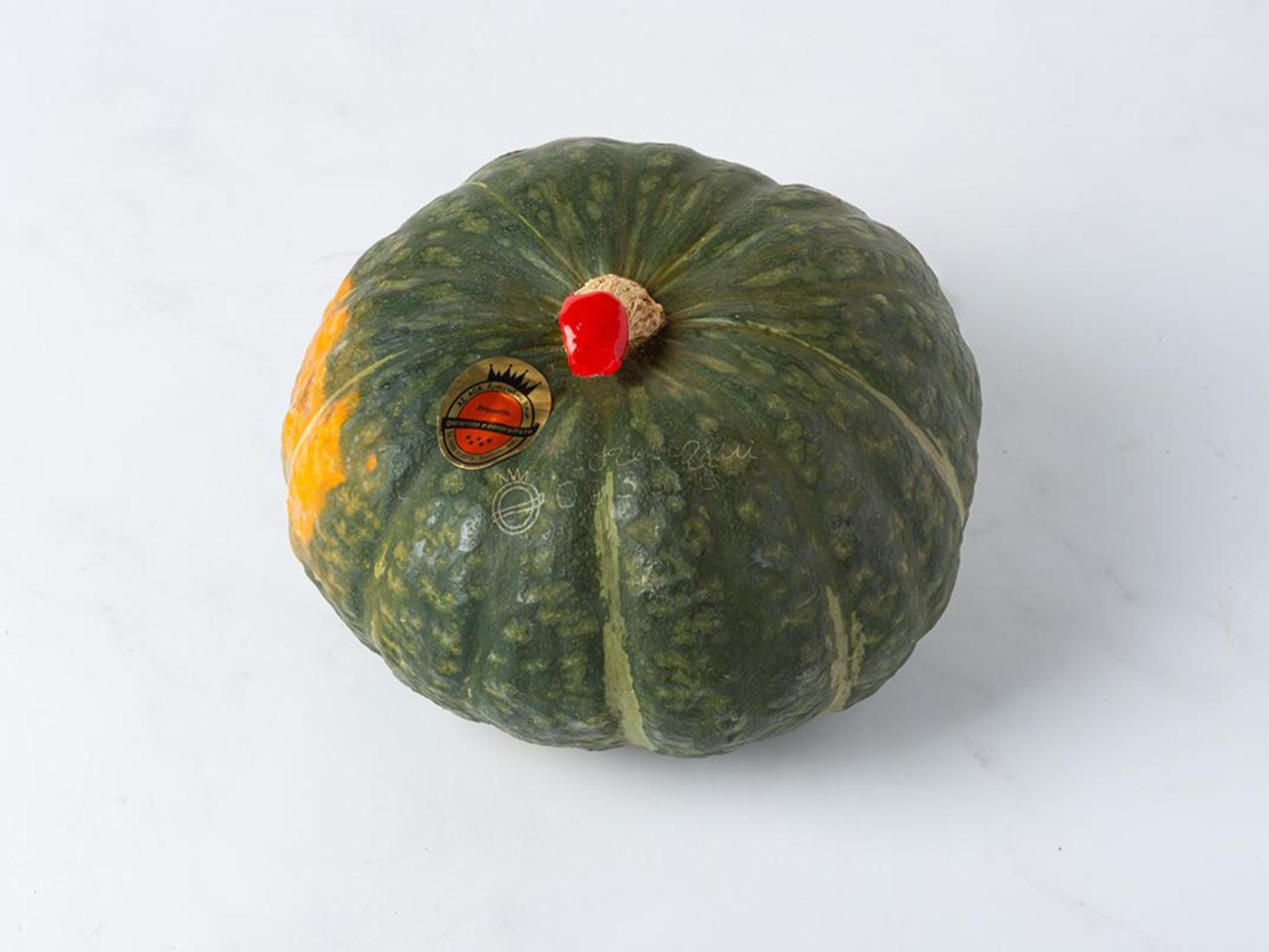 Zucca delica Lorenzini