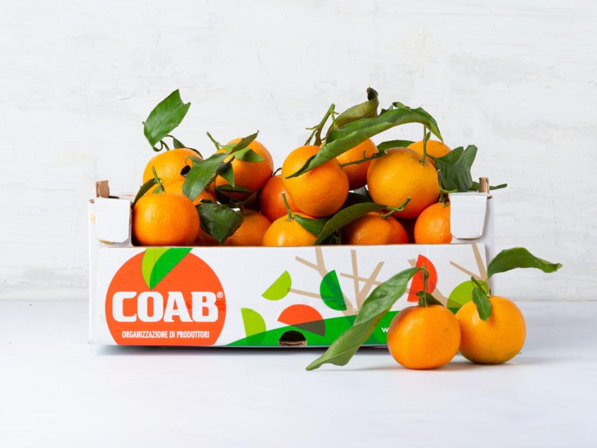 Bauletto di clementine con foglia
