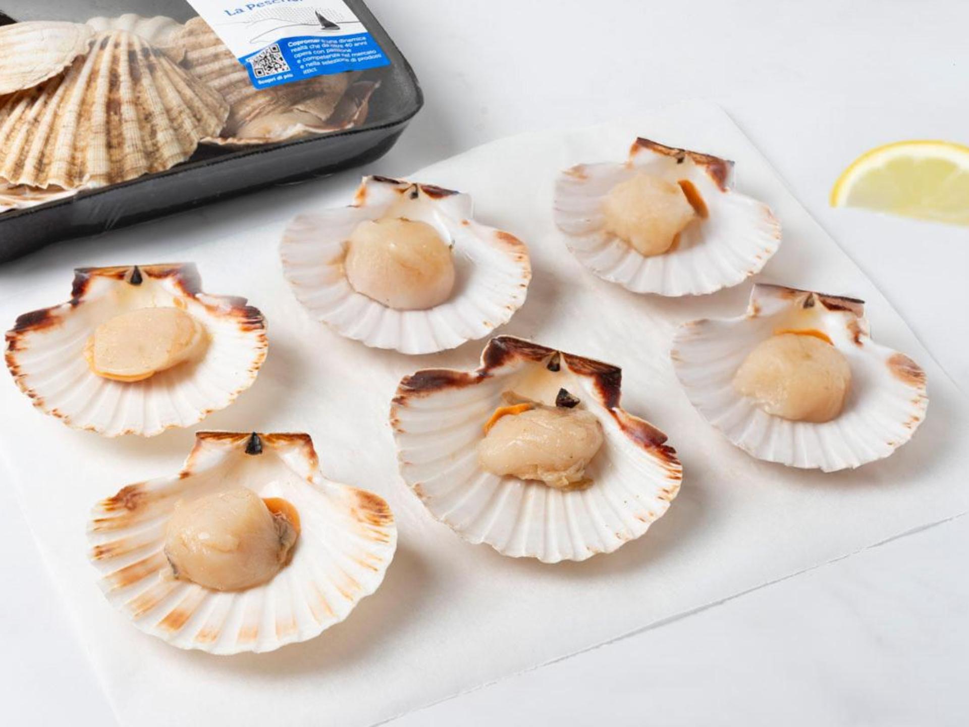 Cappesante atlantiche