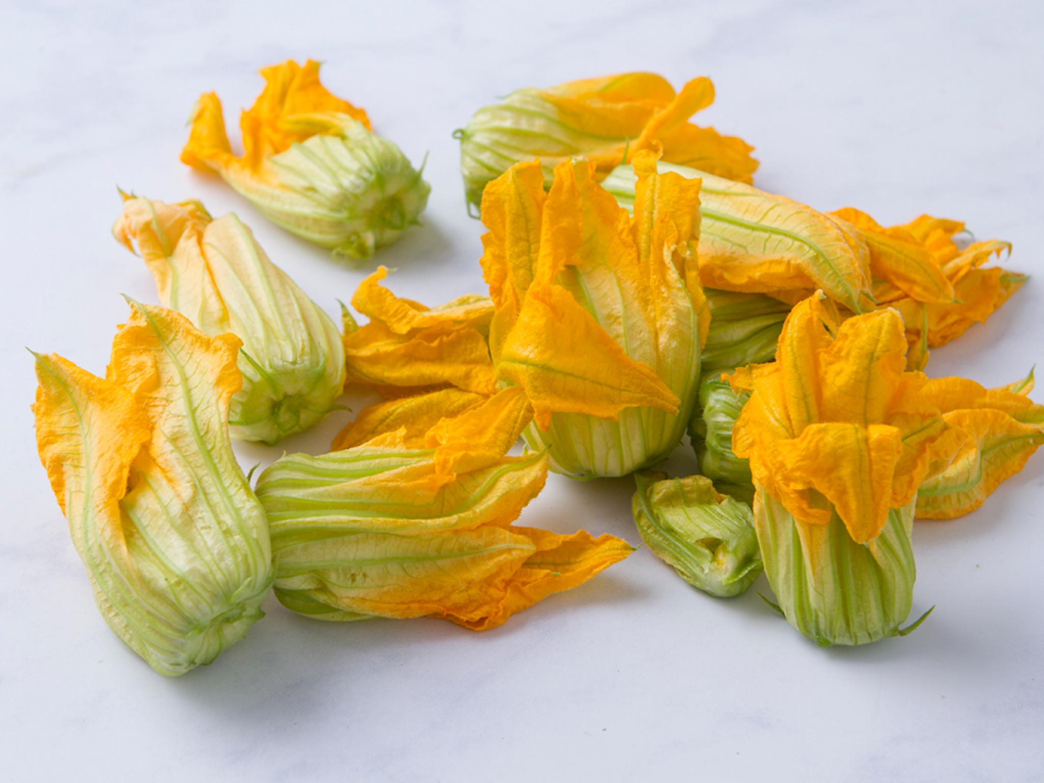 Fiori di zucchina