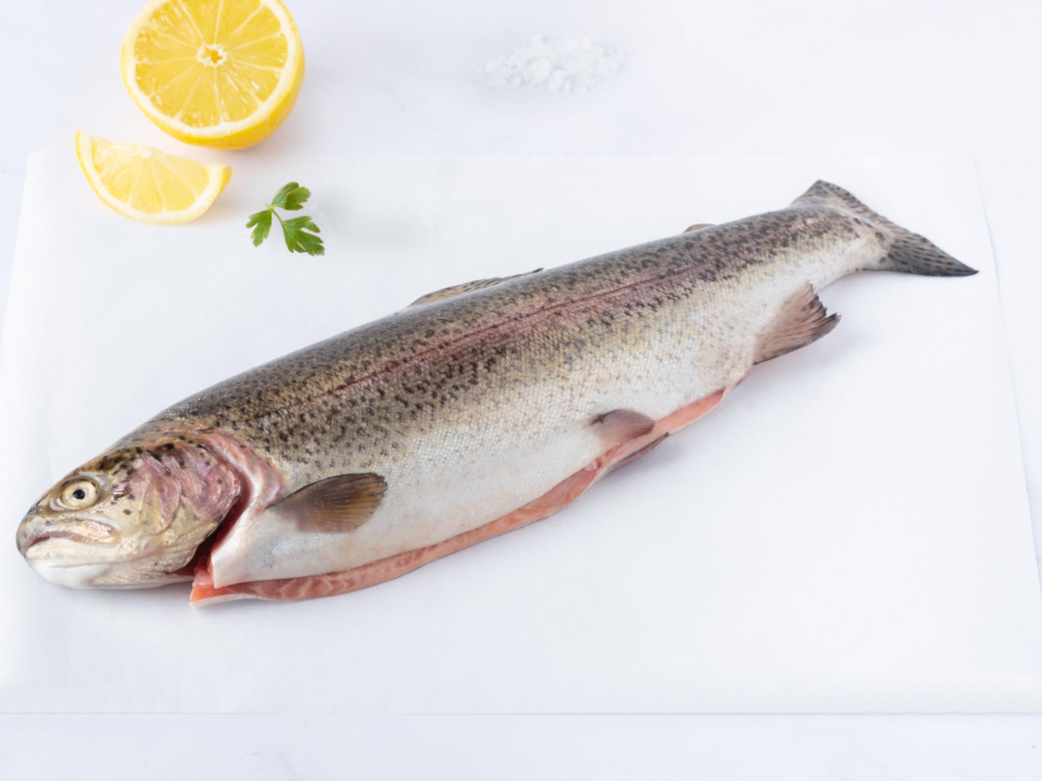 Trota del Trentino IGP salmonata eviscerata