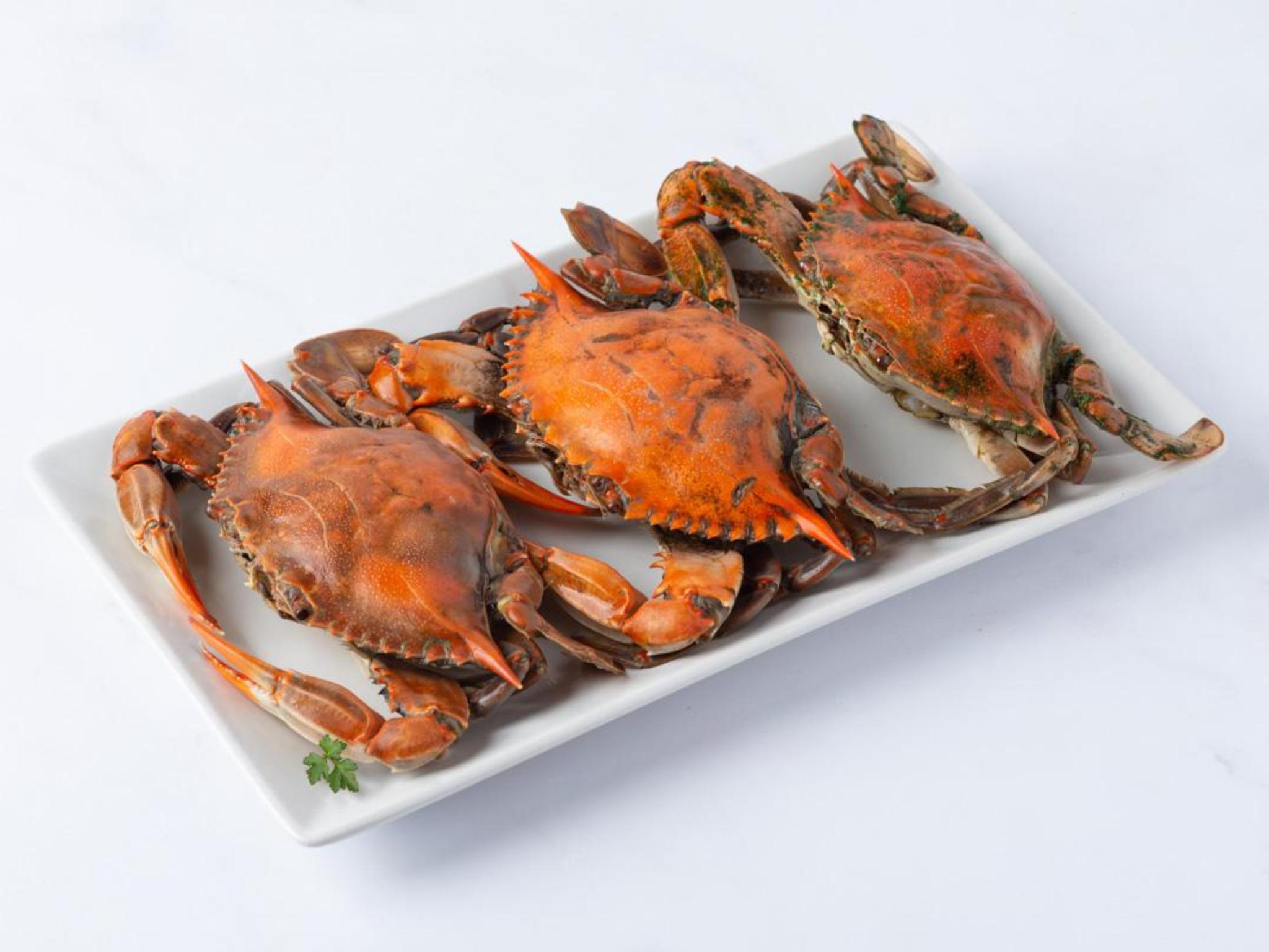 Granchio blu dell'Adriatico precotto